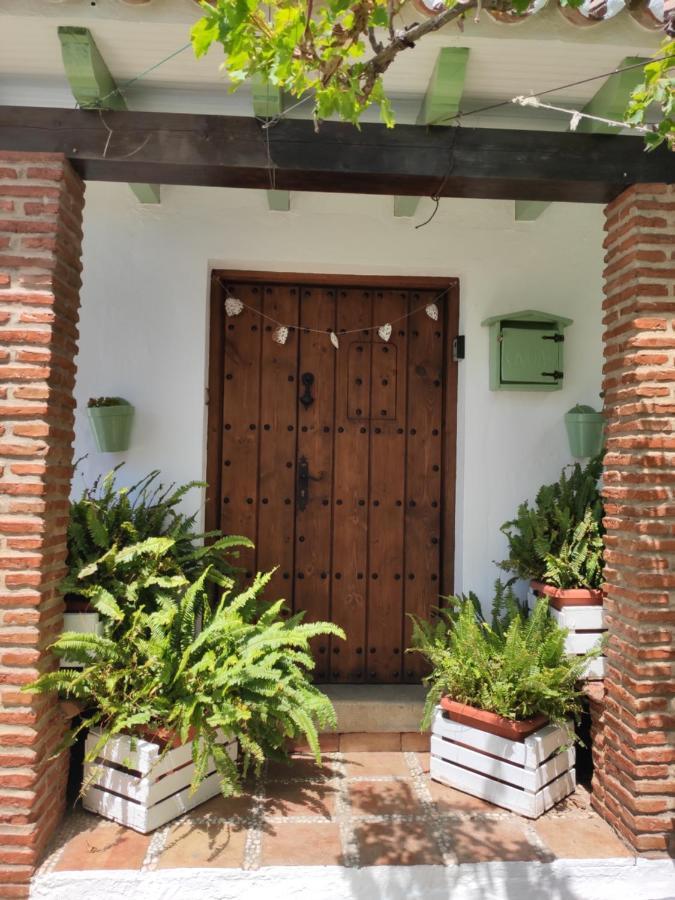 El Hogar De Lucia Villa Casares Ngoại thất bức ảnh